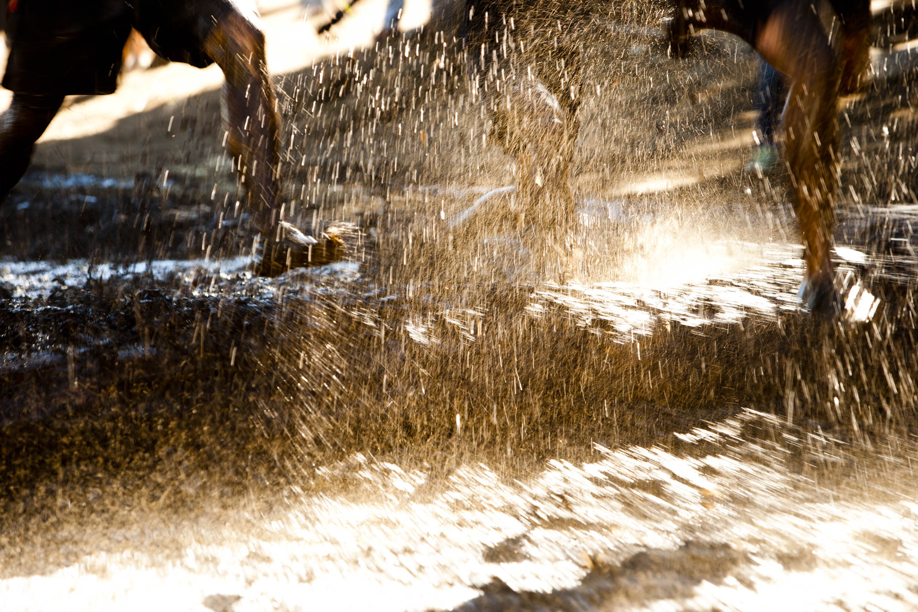 mud002Peix_20101010_8277-J